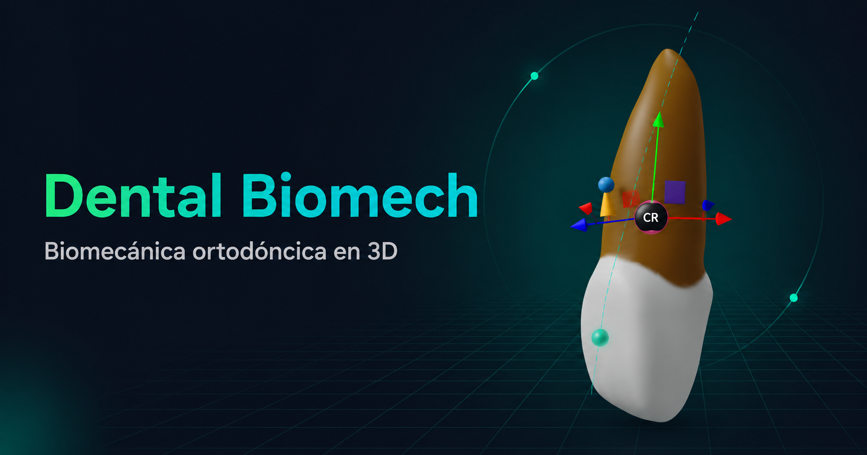 Dental Biomech: biomecánica ortodóncica en tres dimensiones
